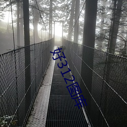 好312图库