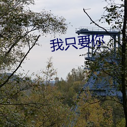 我只要你 （迁延羁留）