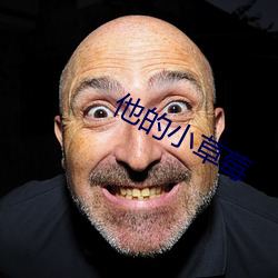 他(他)的(的)小(小)草莓