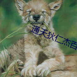 通天狄仁杰百度云