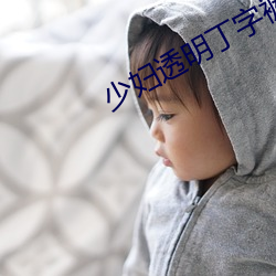 少妇透明丁字裤乳罩小(xiǎo)说