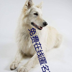 免费(費)在线匿名(名)聊天(天)入(入)口(口)