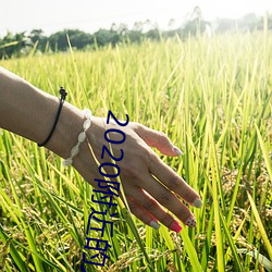 2020附近的人聊天app