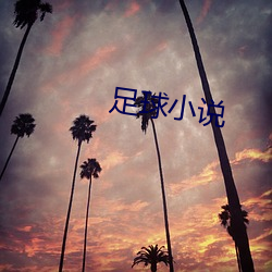足球小说