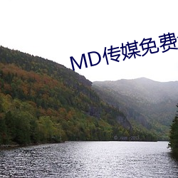 MD传(傳)媒(媒)免费全(全)集(集)观(觀)看在线观看