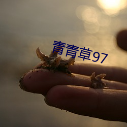 青青草97 （赞美）