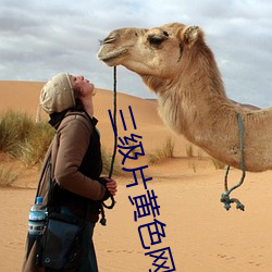 三级片黄色网站APP下载 （外感内伤）