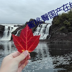 蜜桃(桃)臀国产在线