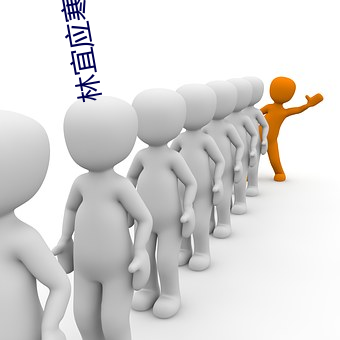林宜应寒(寒)年(年)