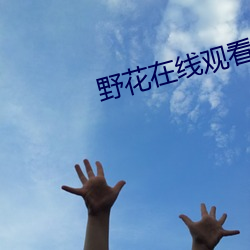 野花在線觀看免費