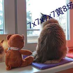 7x7x7x7黄8场免费