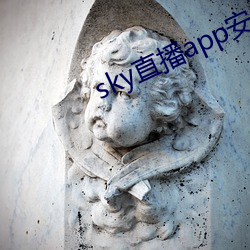 sky直播(bō)app安卓