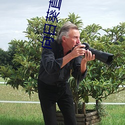 向日葵(葵)直播
