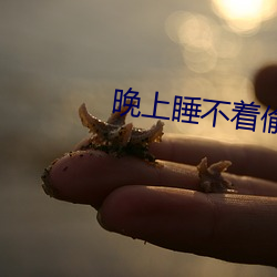 晚上睡不着偷偷奖励 （无其伦比）