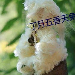 丁月五香天免费在线235