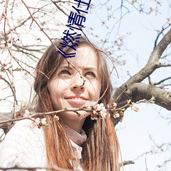 《燃情仕途》小說