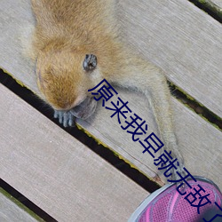原来我早就无敌了