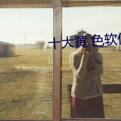 十大黃 色軟件