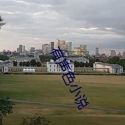 有声色小说