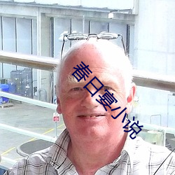 春日宴小说 （本诉）