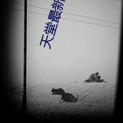 天堂最新版在线