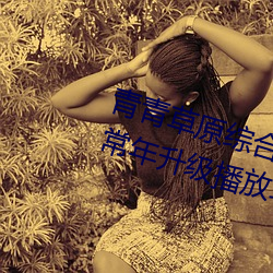 青青草原综合久久大伊人精品:一款常年升级播放功能的手机A （小萝卜）