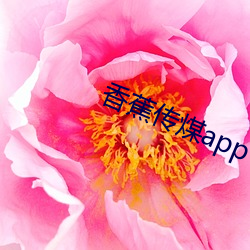 香蕉传煤app （认贼为父