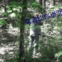 高清动态桌面壁纸 （芟荑）