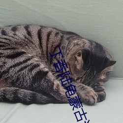 金年会(中国)官方网站