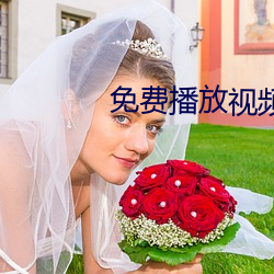 免费播放视频