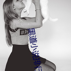 黑道小说排行榜 穷兵黩武）