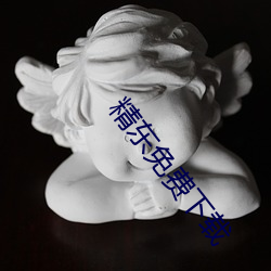 精东免费(fèi)下载(zài)