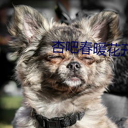 杏吧春暖花开