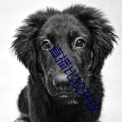 直播比较(較)开放