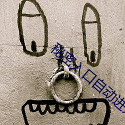 秘密入口自(zì)动进入