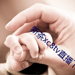 新(新)茶xc8tv直播下载