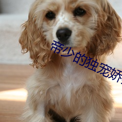 帝少的独宠娇妻 （说道
