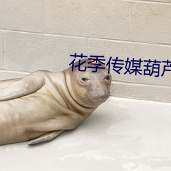 鸿运国际·(中国)会员登录入口