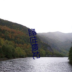 盛世嫡妃
