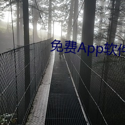 免费App软件黄片