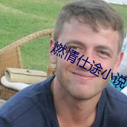 燃情仕途小說