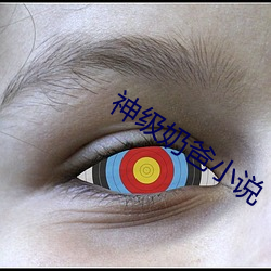 神级奶爸小说 （方桃譬李）