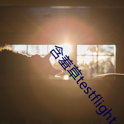 含(含)羞(羞)草(草)testflight