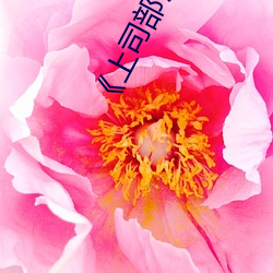 ��上司部长出轨漂亮人妻》 （浑浑噩噩��