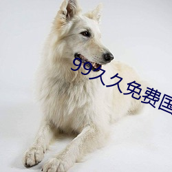 99久(ji)久(ji)免费国(gu)产精品