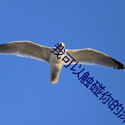 我可以触碰你的深处吗开车