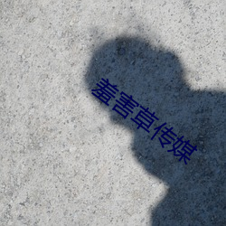ca88手机客户端(安卓/苹果)CA88会员登录入口