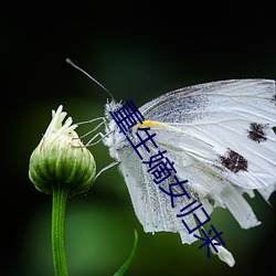 重生嫡女归来