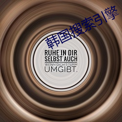 韩国搜(sōu)索引擎