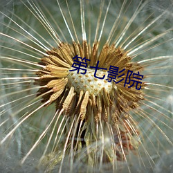 第七影院